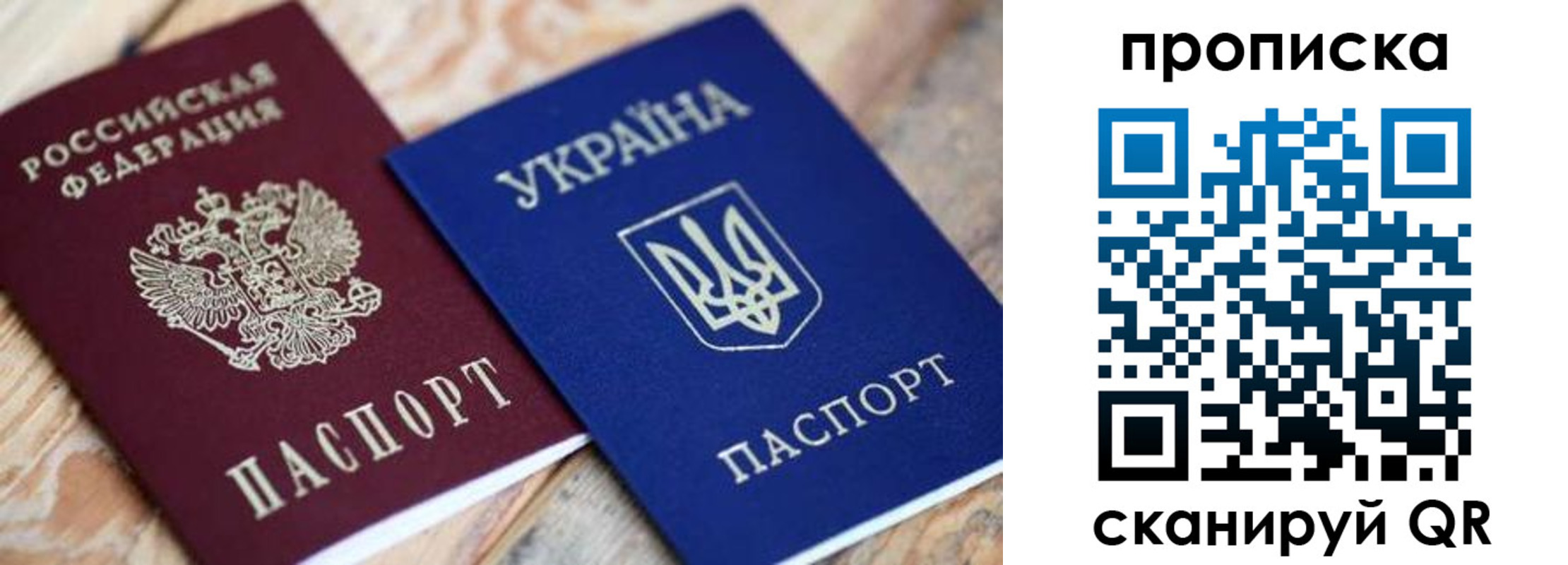 прописка поиск в Кохме